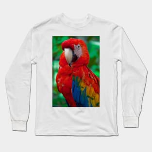 Panama. Bocas del Toro. Macaw. Long Sleeve T-Shirt